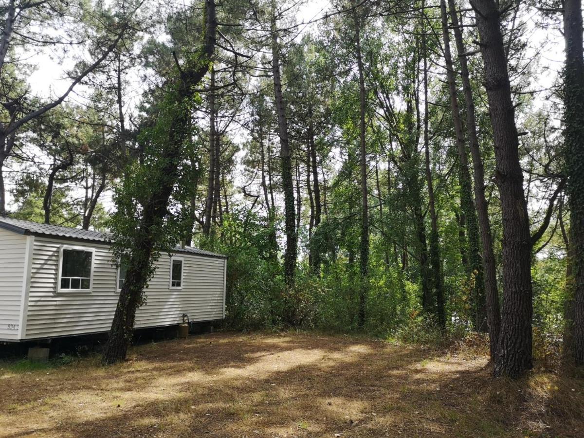 Le Ilo - Camping La Dune Blanche 卡米尔斯 外观 照片